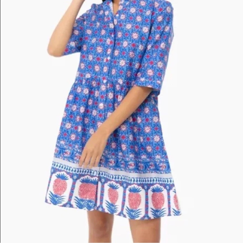 Tuckernuck Blue and Pink Floral Dress